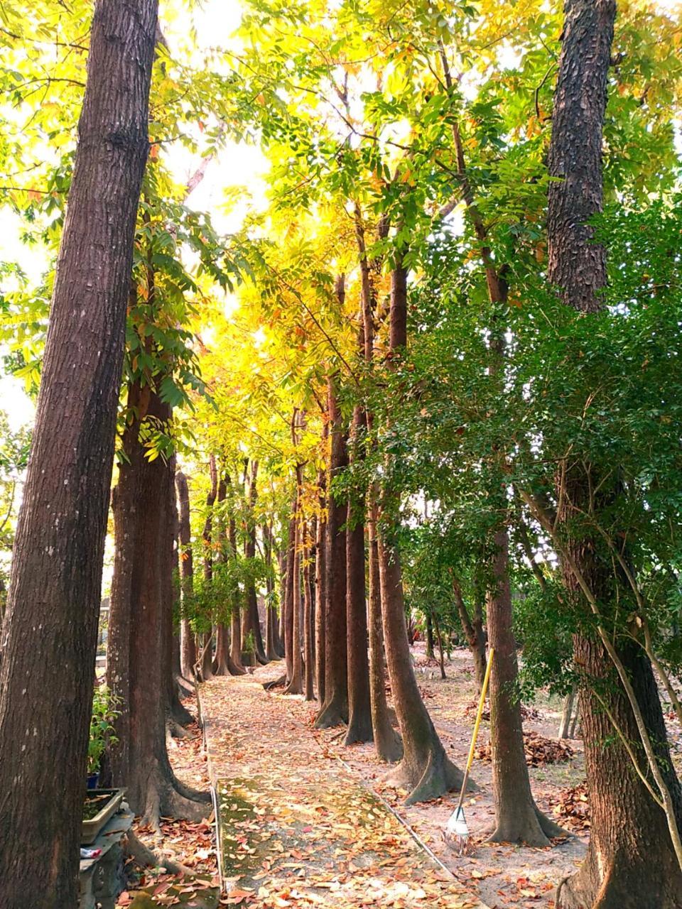 Meinong Yun Shanju Homestay Mei-nung Luaran gambar